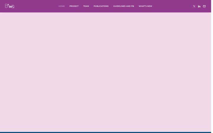 Screenshot of b2-inf.eu