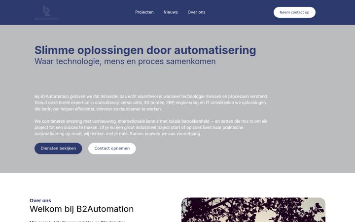 Screenshot of b2automation.nl