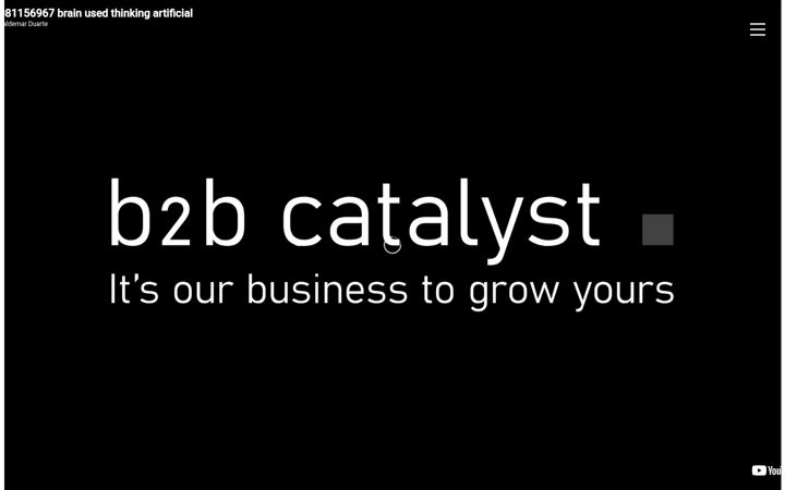 Skærmbillede af b2b-catalyst.ch
