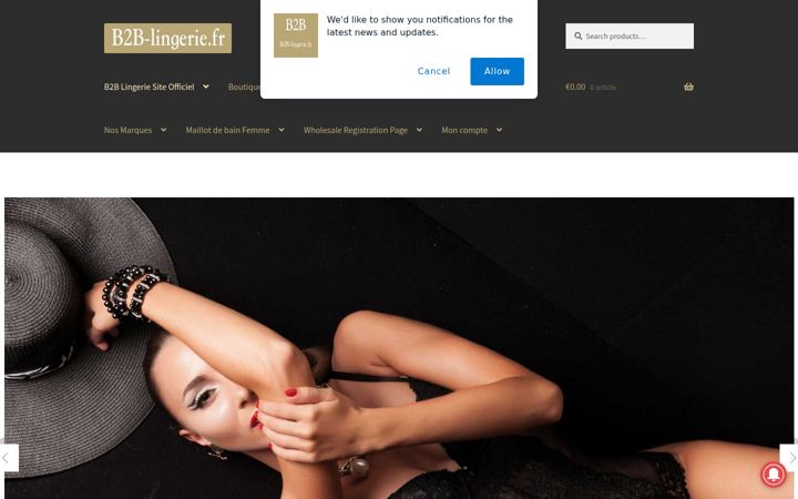 Screenshot of b2b-lingerie.fr