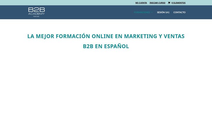 Screenshot of b2bacademy.es