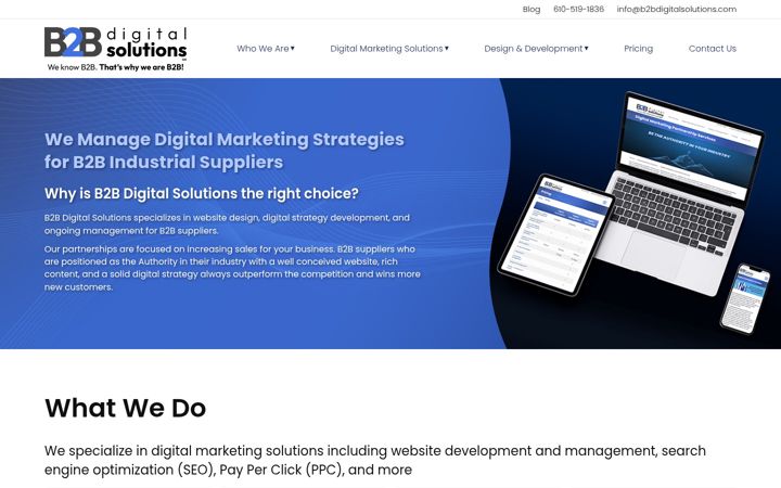 Screenshot of b2bdd.website