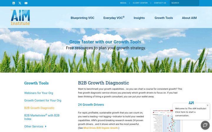 Screenshot of b2bgrowthdiagnostic.com