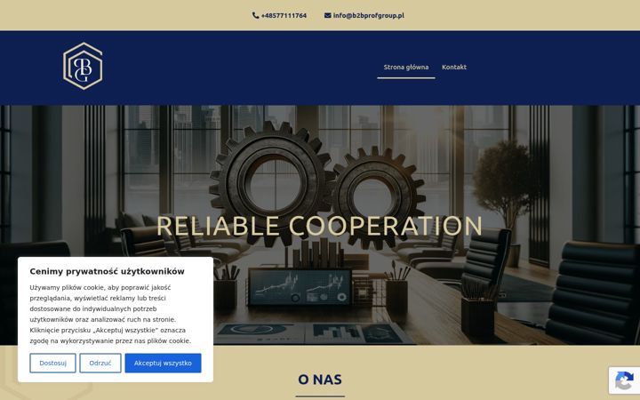 Screenshot of b2bprofgroup.pl