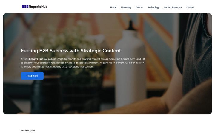Screenshot of b2breportshub.com
