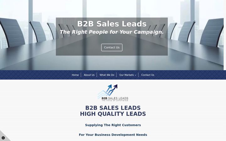 Screenshot of b2bsalesleads.co.uk