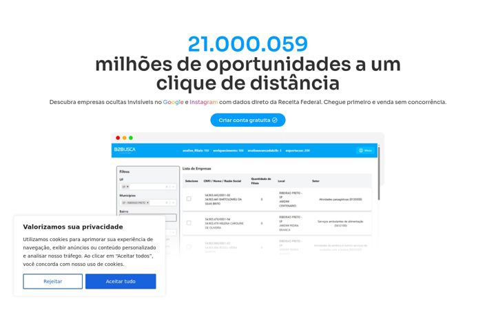 Screenshot di b2busca.com.br