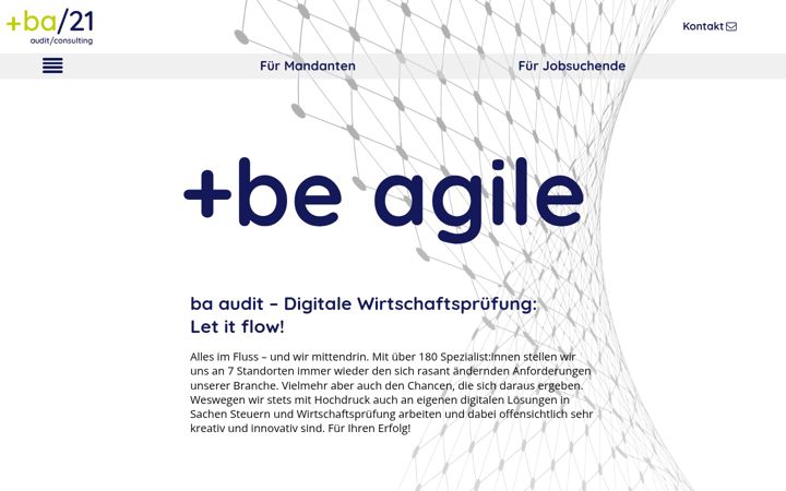 Screenshot of ba-audit.de