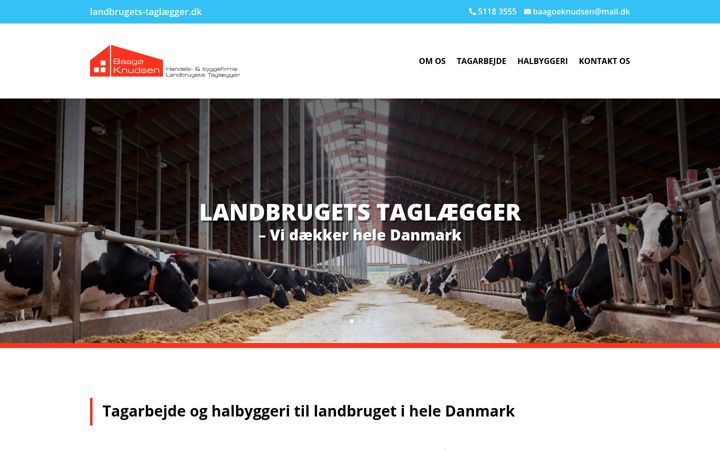 Screenshot of baagoeknudsen.dk