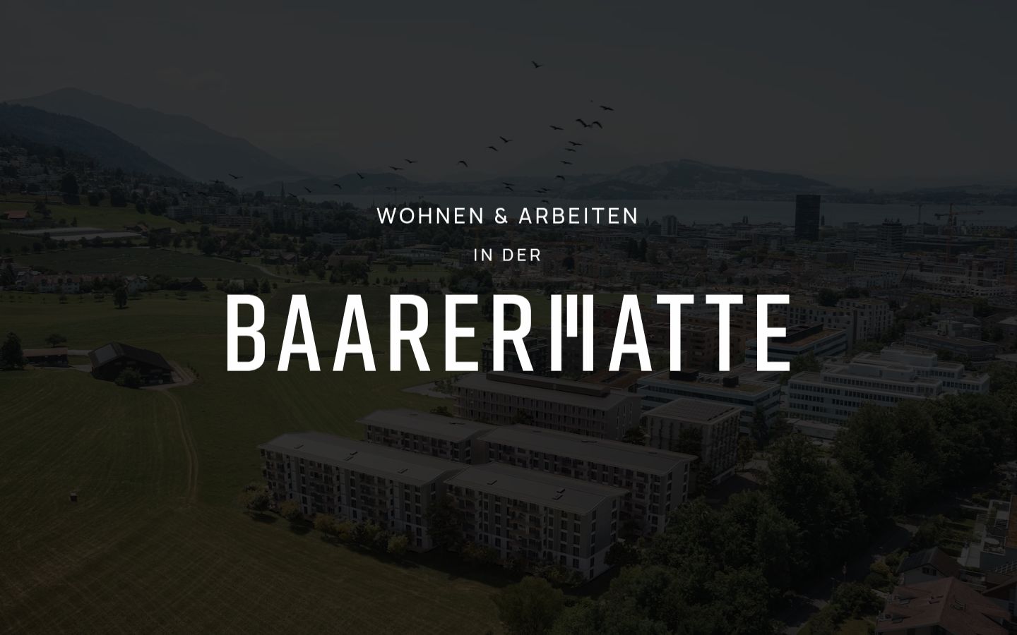 Skærmbillede af samtykkebanneret, som det blev vist før nogen interaktion