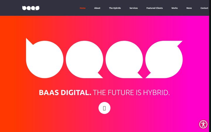 Екранна снимка на baasglobal.net