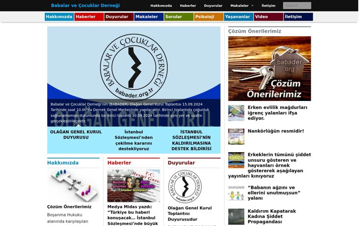 Screenshot of babader.org.tr