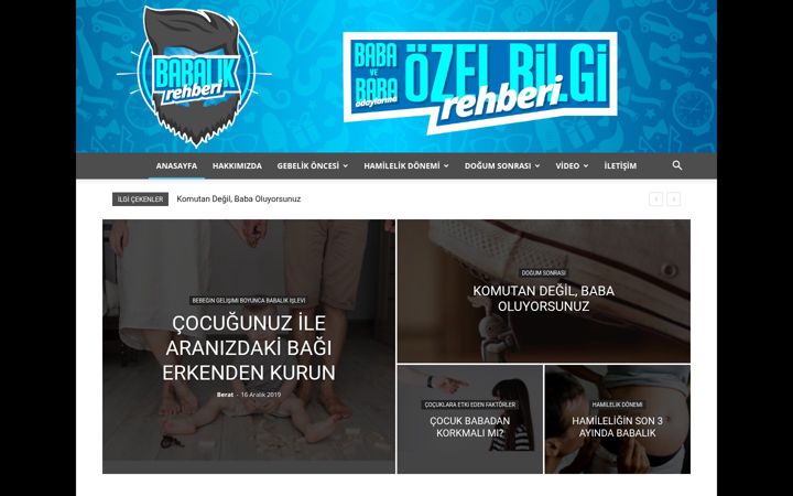 Screenshot of babalikrehberi.com
