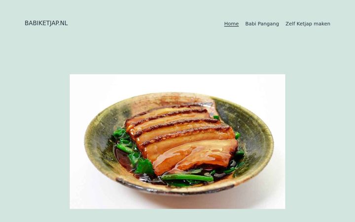 Screenshot of babiketjap.nl