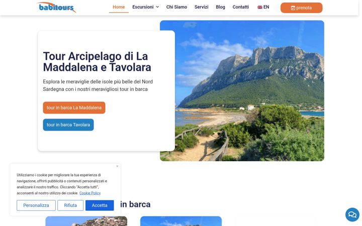 Screenshot of babitours.com