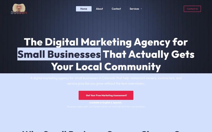Screenshot of baboonagency.com