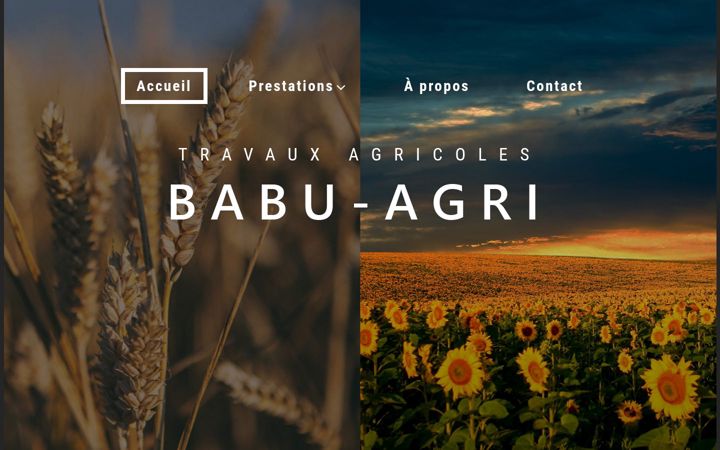 Screenshot of babu-agri.fr