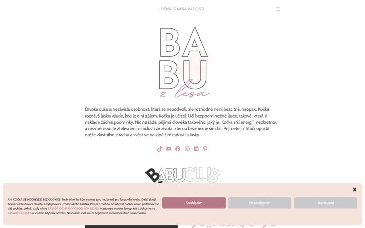 Screenshot of babuzlesa.cz