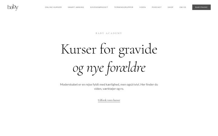 Screenshot of babyacademy.dk