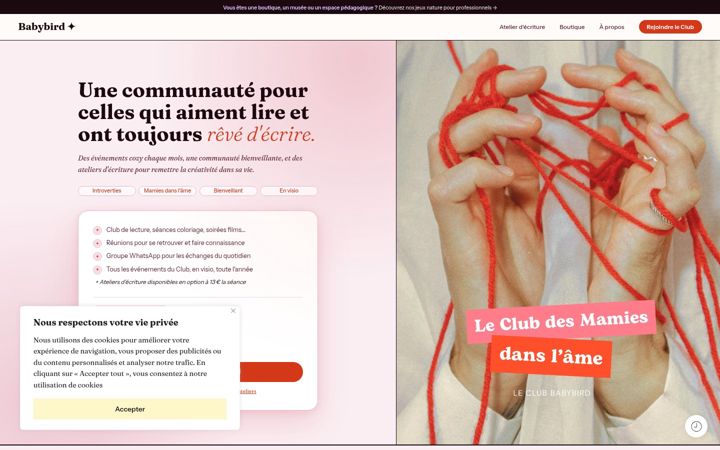 Screenshot of babybird.fr