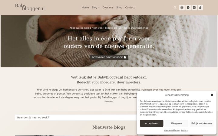 Screenshot of babyblogger.nl