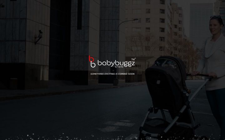 Screenshot of babybuggz.co.za