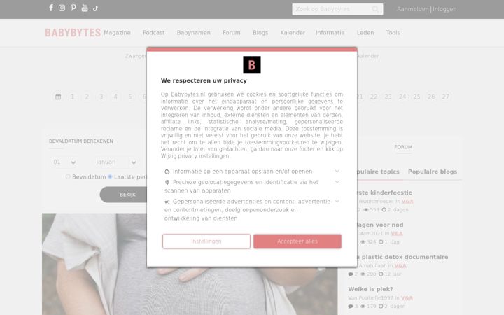 Screenshot of babybytes.nl