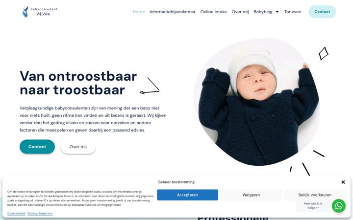 Capture d'écran de babyconsulentmieke.nl