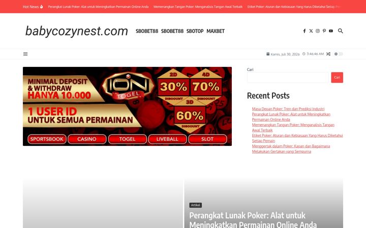 Screenshot of babycozynest.com