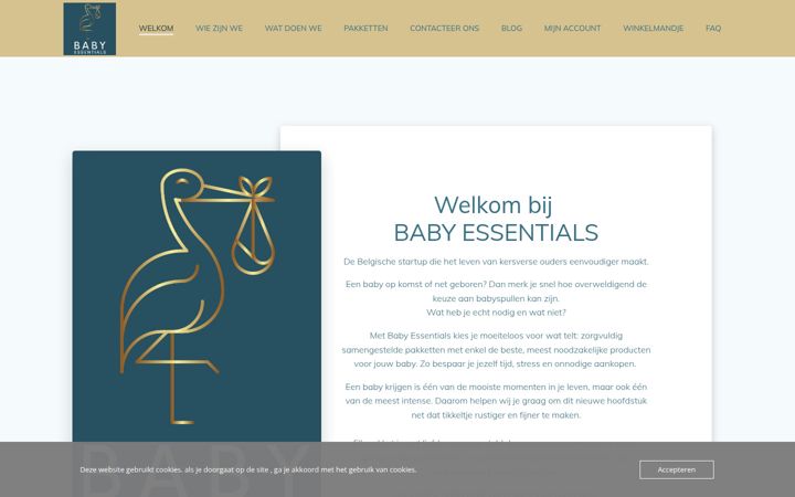 Screenshot of babyessentials.life