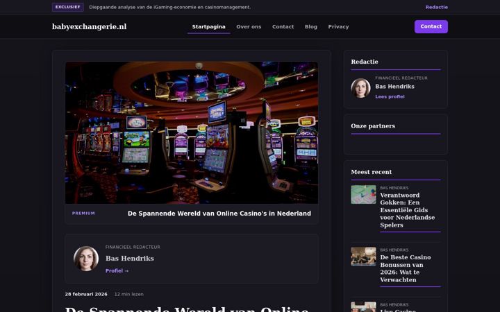 Screenshot of babyexchangerie.nl