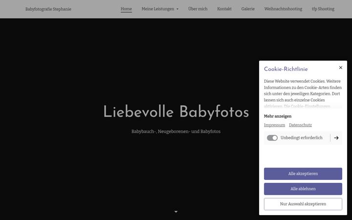 Screenshot of babyfotografiestephanie.com