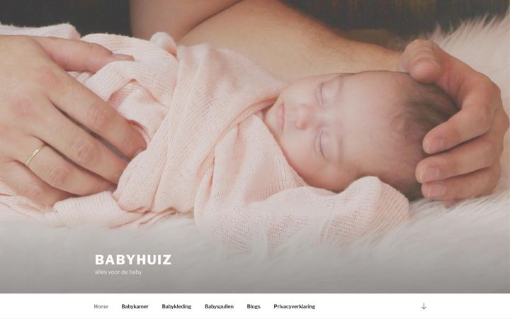 Screenshot of babyhuiz.nl