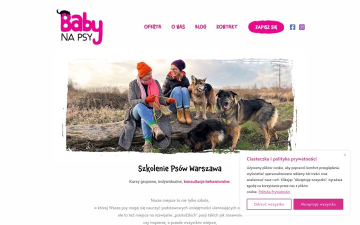 Screenshot of babynapsy.pl