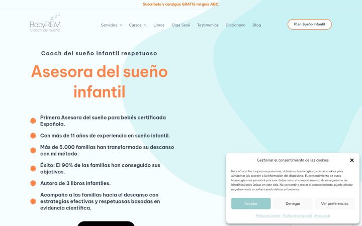 Screenshot of babyremcoach.com