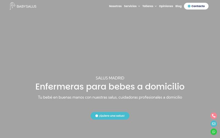 Screenshot of babysalus.es