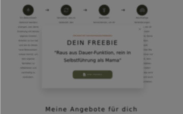 Képernyőkép: babyschlaf-coaching.de