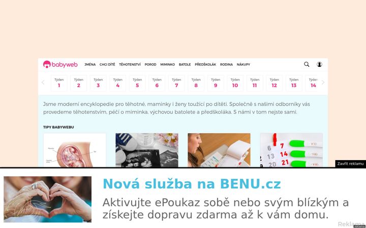 Screenshot ta' babyweb.cz