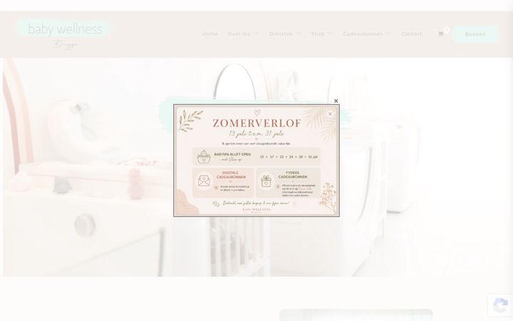 Екранна снимка на babywellnessbrugge.be