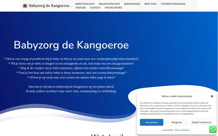 Screenshot of babyzorgdekangoeroe.nl
