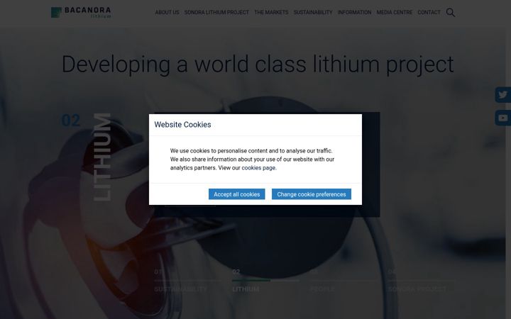 Screenshot of bacanoralithium.com