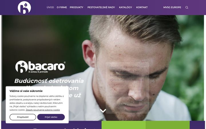 Screenshot of bacaro.eu