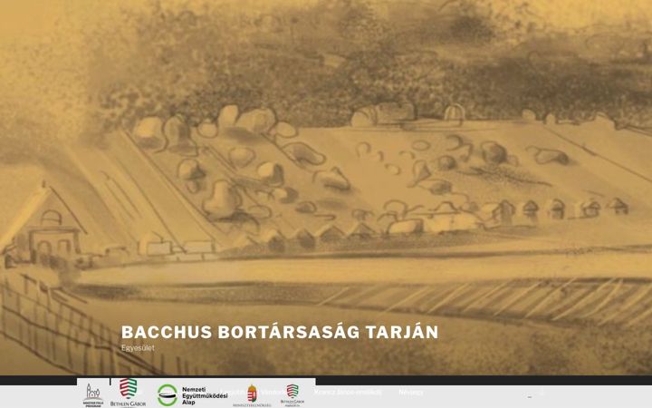 Screenshot of bacchusbortarsasag.hu