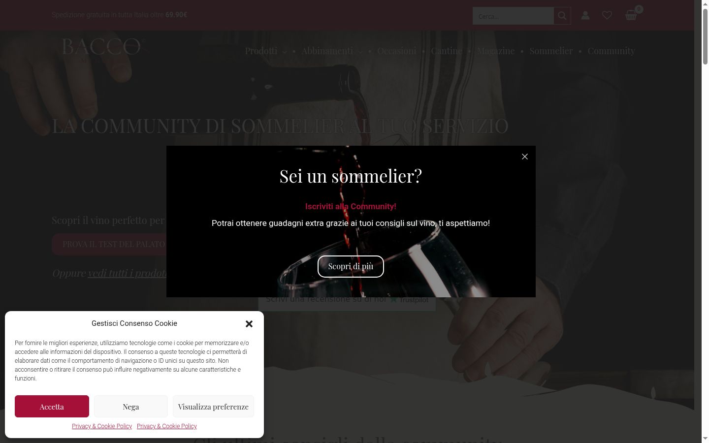 Sutikimo reklamjuostės, rodytos prieš bet kokią sąveiką, ekrano kopija
