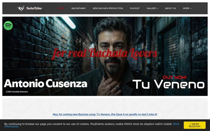 Screenshot of bachatiamo.com