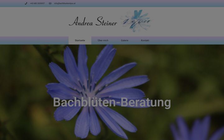 Screenshot of bachblueten4you.at