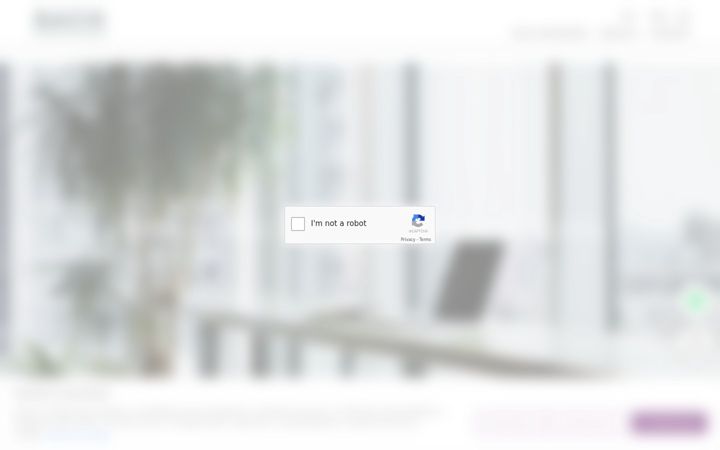 Screenshot of bachconsultores.com