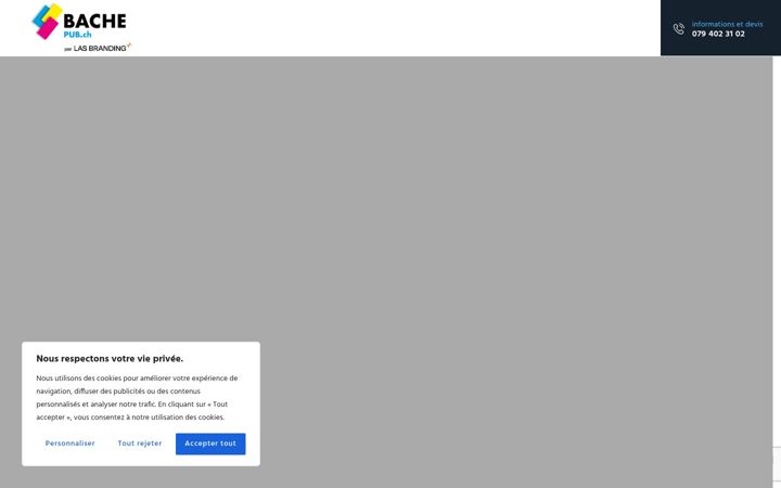 Skærmbillede af bache-pub.ch