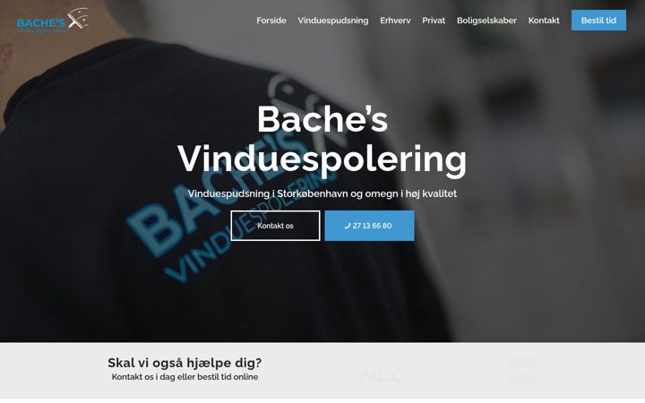 Screenshot of bachesvinduespolering.dk
