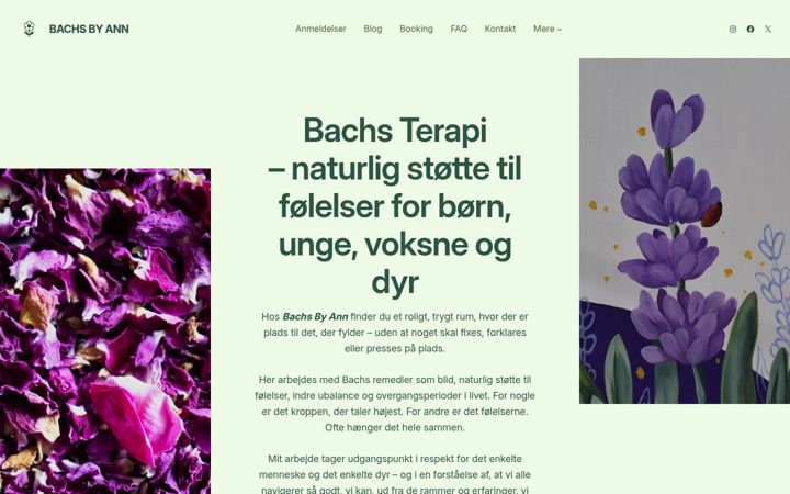 Screenshot of bachsbyann.dk
